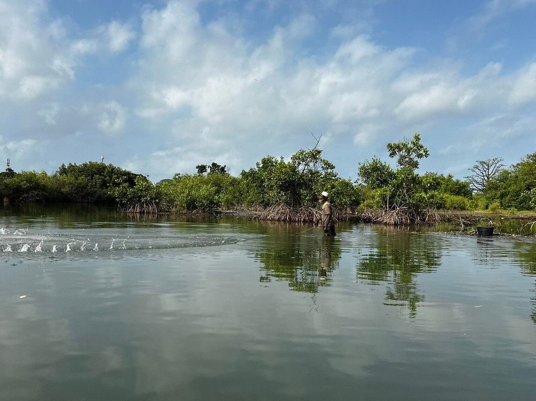 Gambia Kayaking-Tanji必去景点