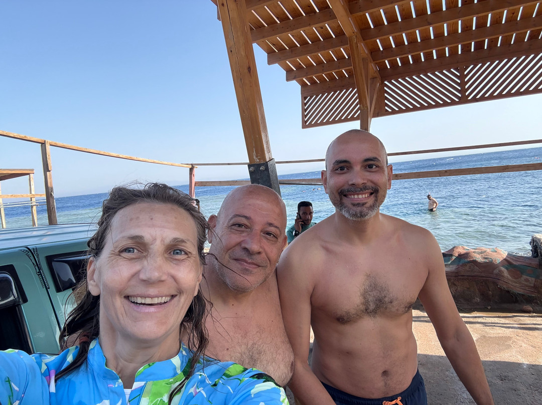 Penguin Divers Club-达哈卜必去景点