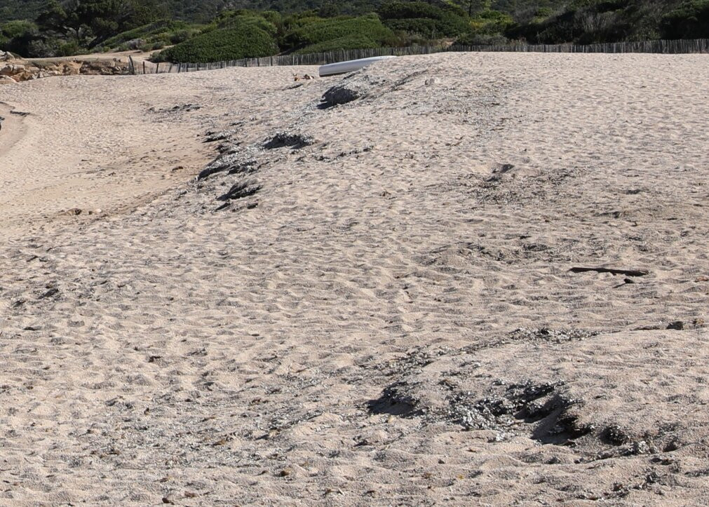 La plage de Verghia-Coti-Chiavari必去景点