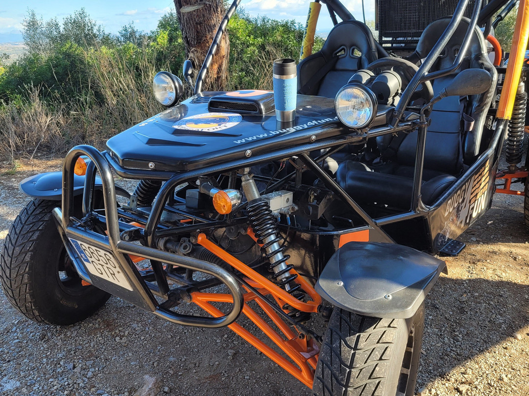 Buggy 4 Fun-Ca'n Picafort必去景点