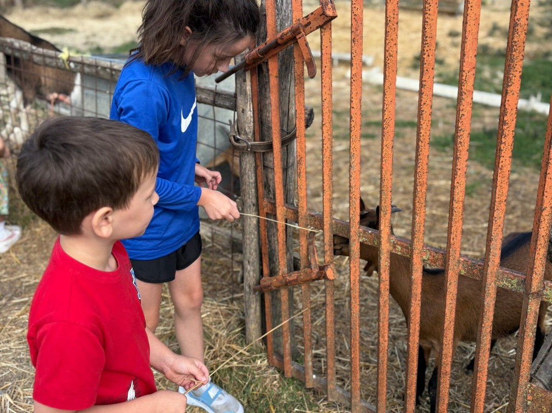 Wine Tour Adventure-蒙特里久尼必去景点