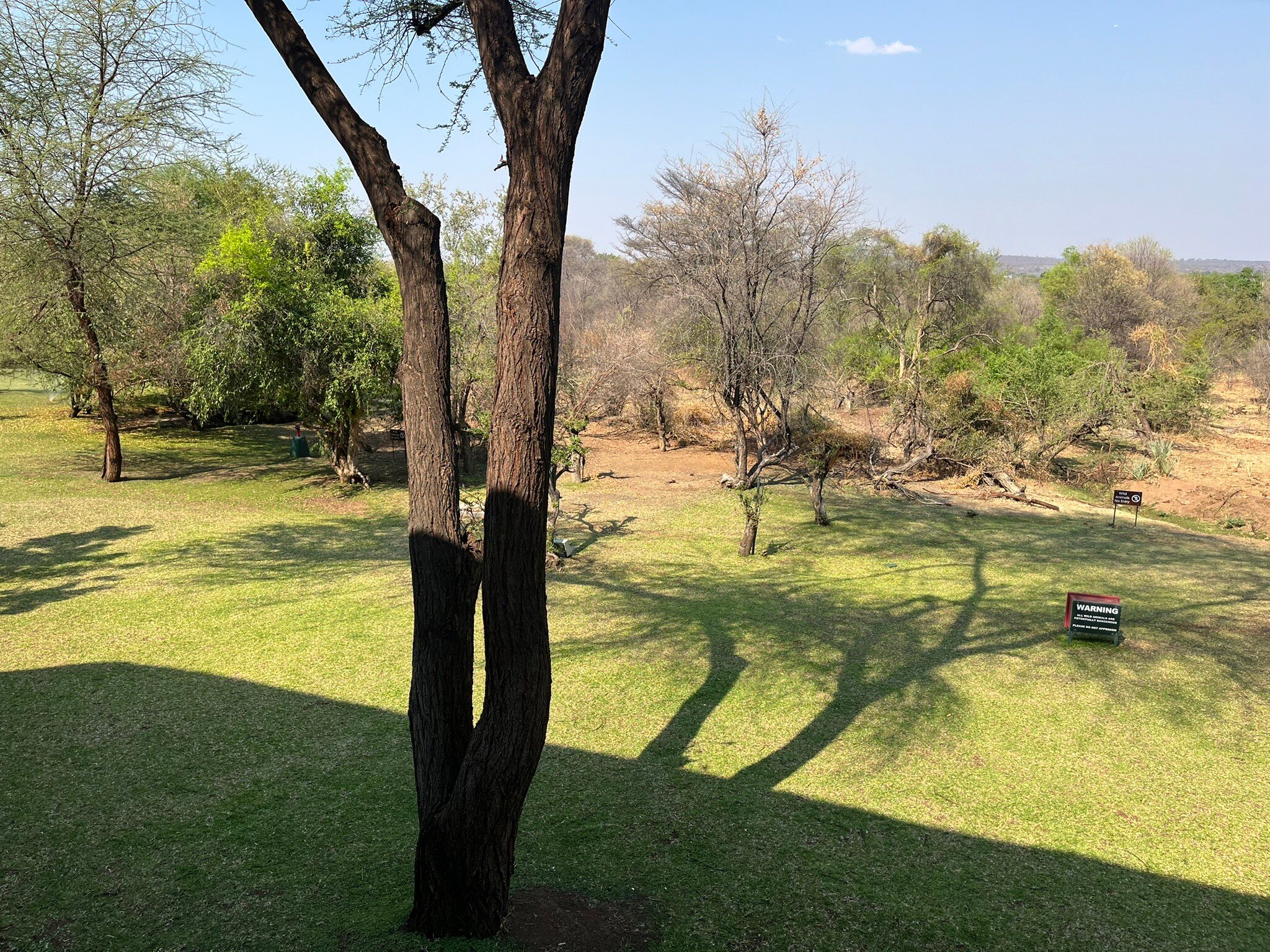 The Palm River Hotel-官方