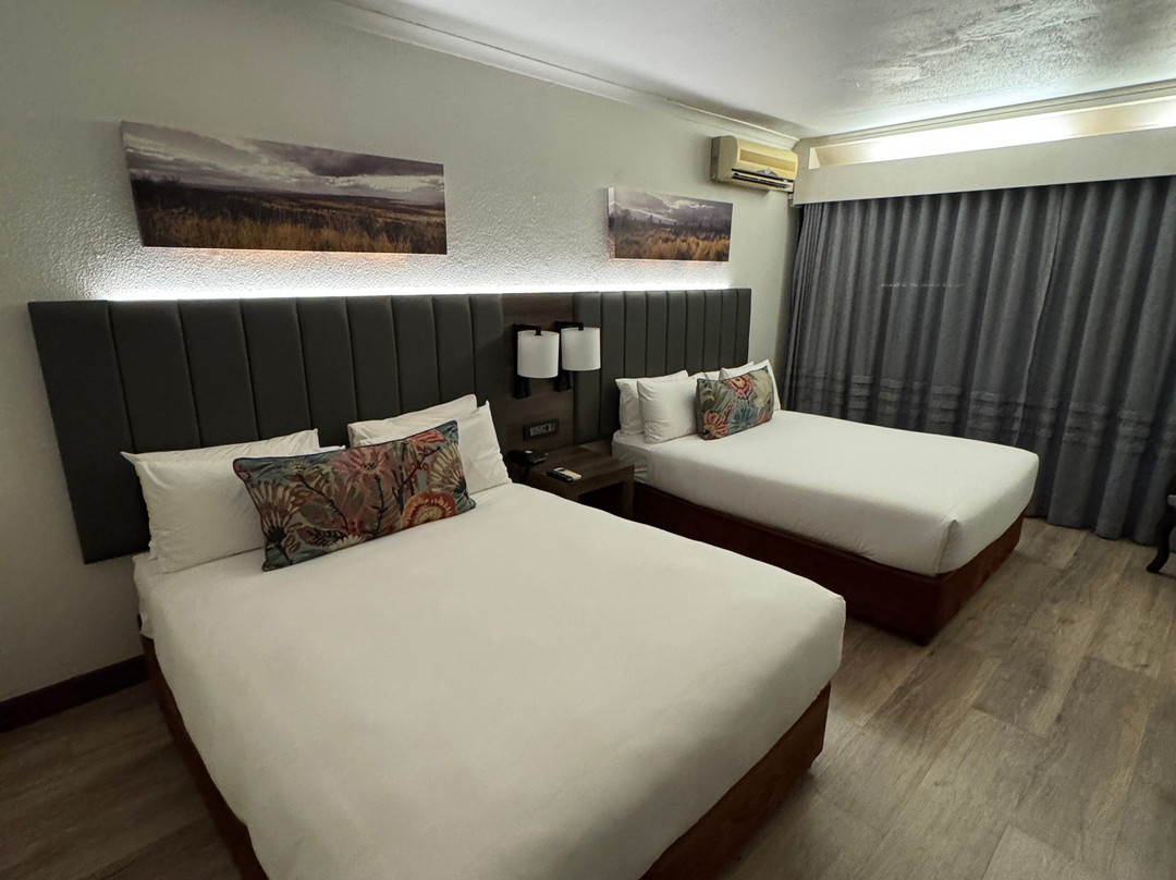 Anew Hotel Hluhluwe主图