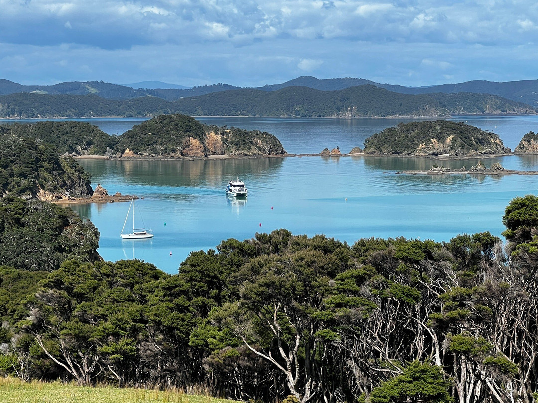 Urupukapuka Island-派希亚必去景点