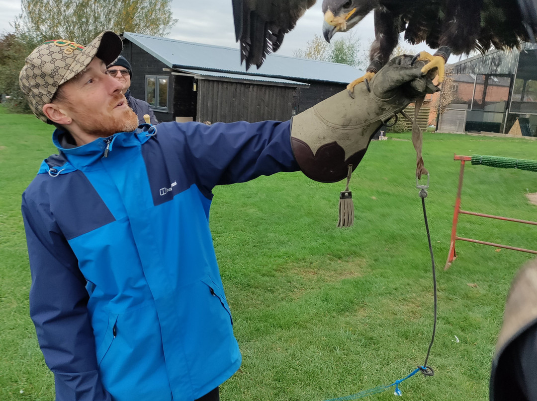 Bird on the Hand Falconry Experiences-Church Langton必去景点