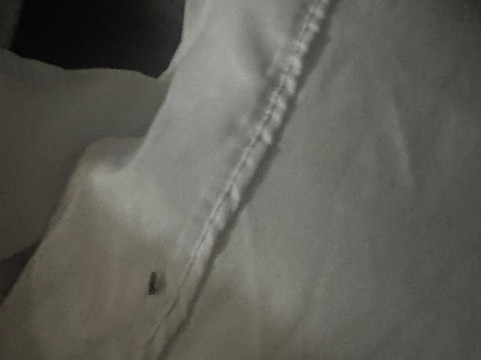 塔拉哈西中心特鲁希尔顿酒店主图