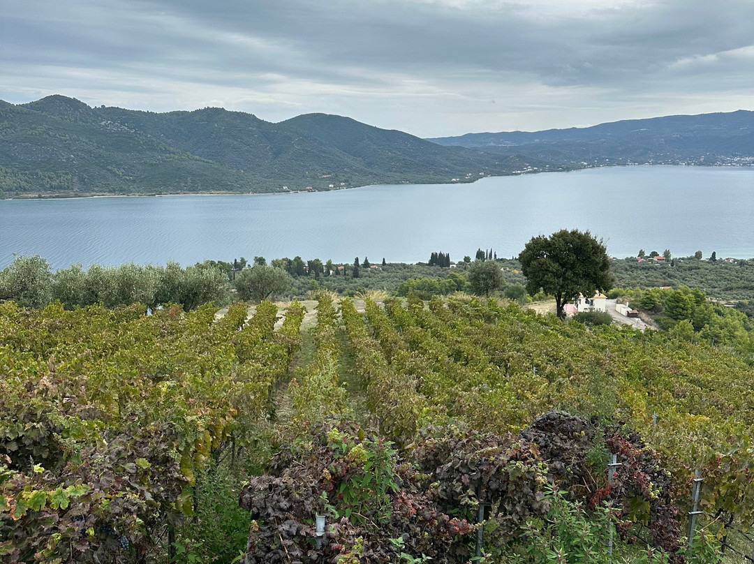 Vriniotis Winery-Edipsos必去景点
