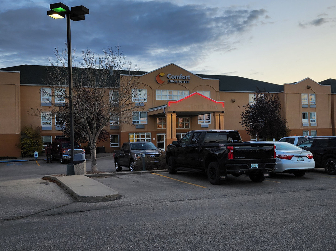 Comfort Inn & Suites主图