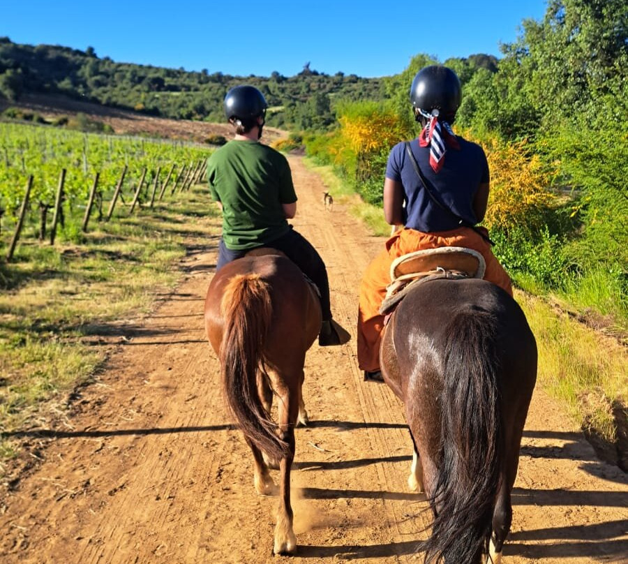 Natural Wine Tours-Palmilla必去景点