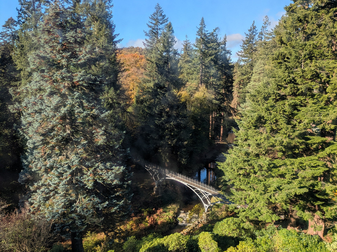 Cragside House and Gardens-Rothbury必去景点