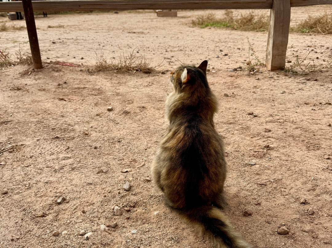 Ghost Ranch-Abiquiu必去景点