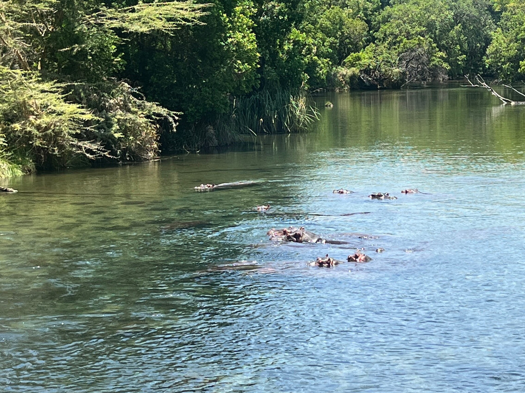 Cherish Africa Safaris-Kikuyu必去景点