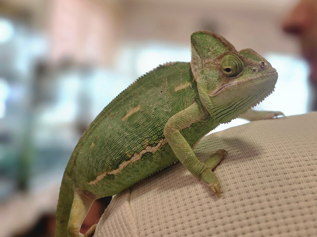 Reptisland-Melidoni必去景点