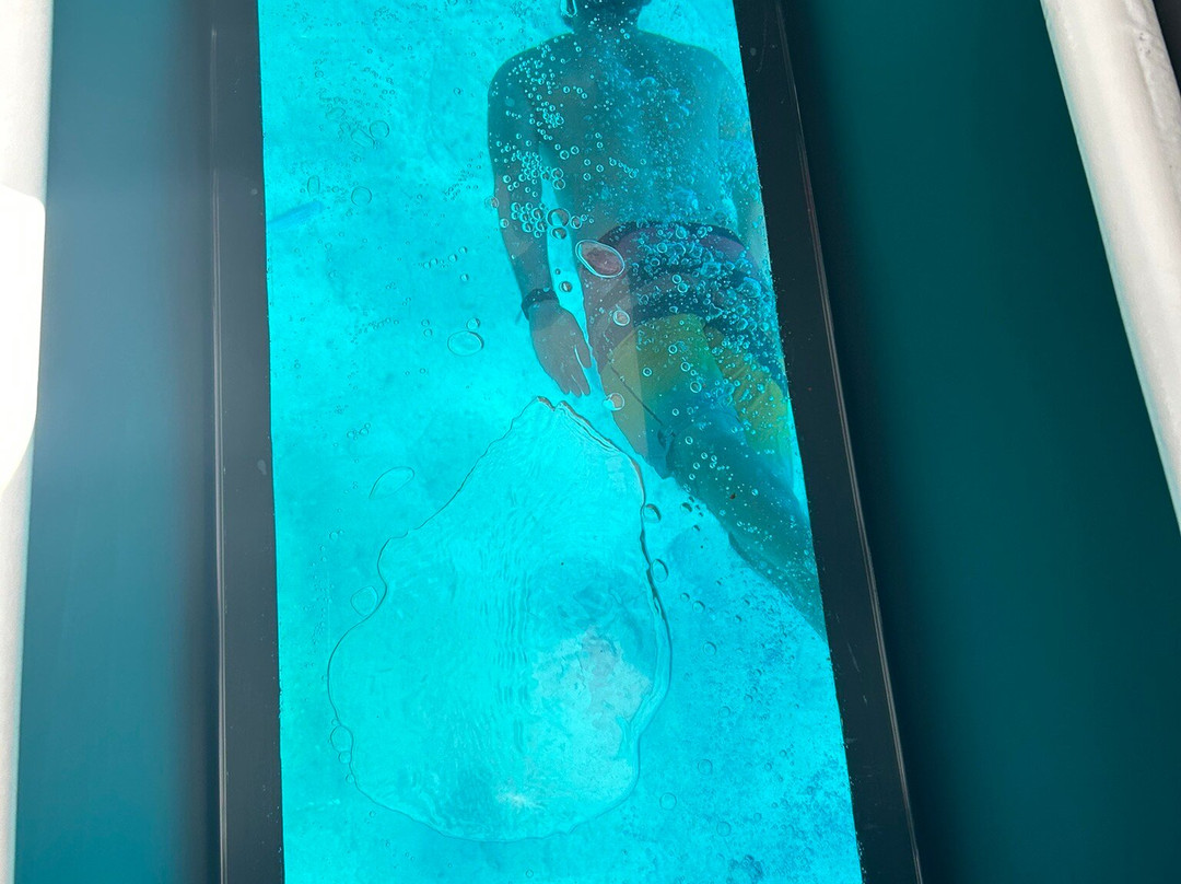 Porto Santo Underwater Paradise-Porto Santo Island必去景点
