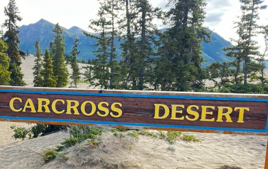 Carcross Desert-Carcross必去景点