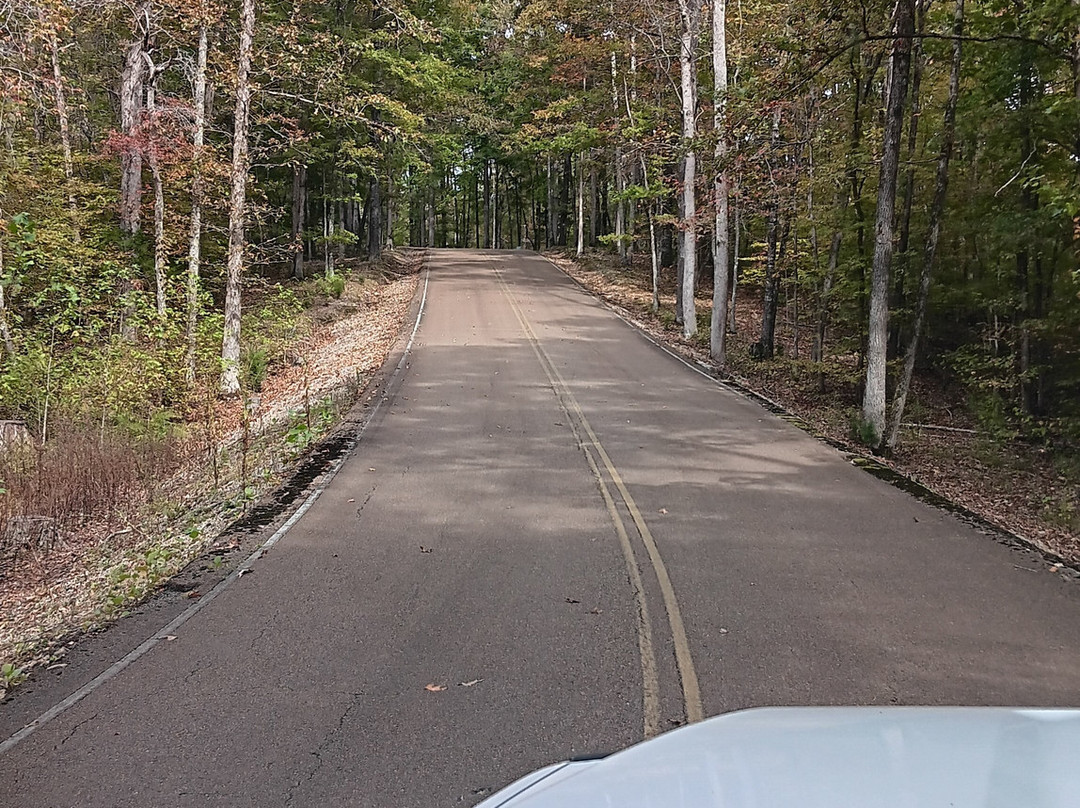 Mousetail Landing State Park-Linden必去景点