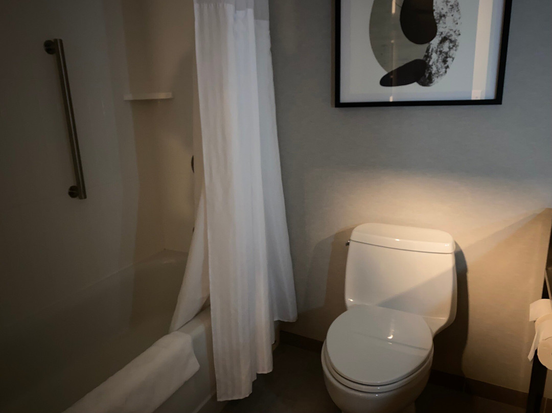 夏洛特/康科德希尔顿花园酒店主图