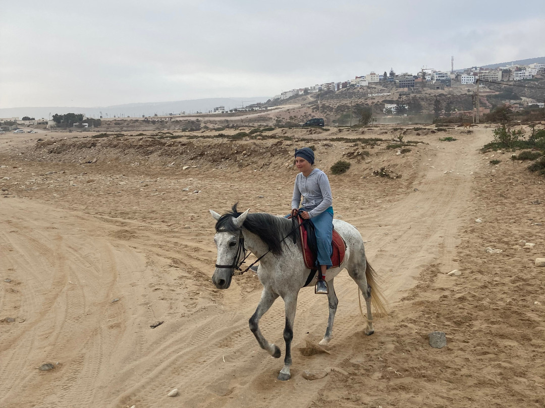 Arda Horses-奥瑞尔必去景点