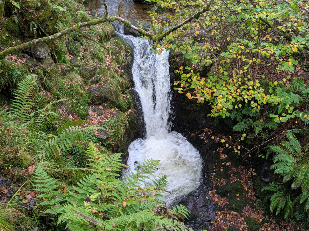Roaming Scotland-Alloa必去景点