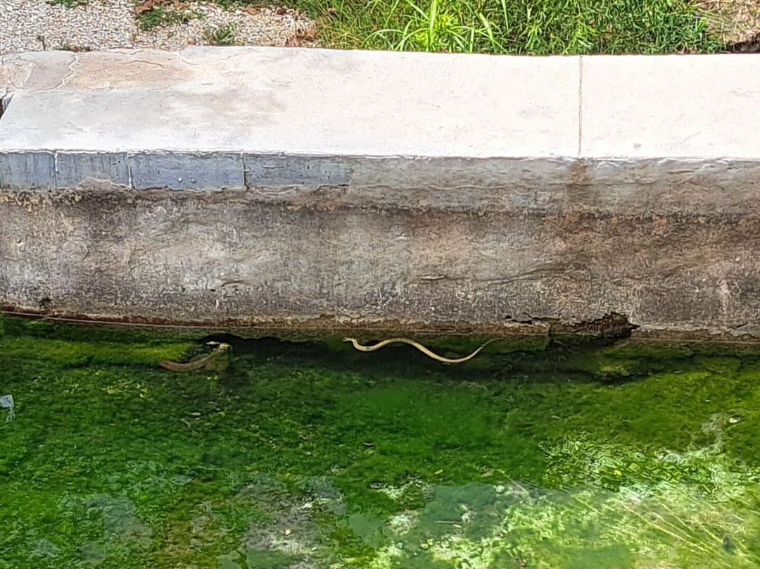 Jacob's Well Natural Area-Wimberley必去景点