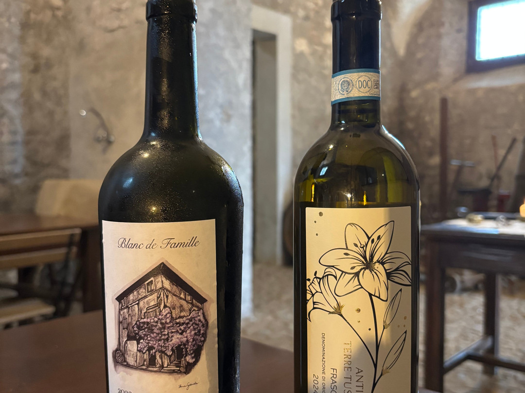 Andrea Amore - Chauffeur Services-奇维塔韦基亚必去景点