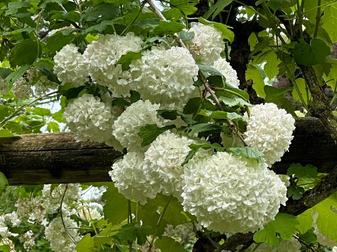 Jardim Secreto Ville de France