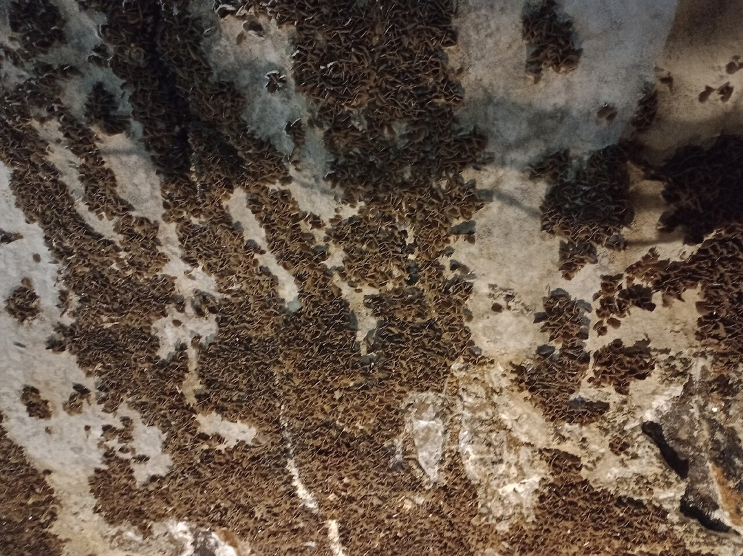 Grotta di Santa Barbara-Iglesias必去景点