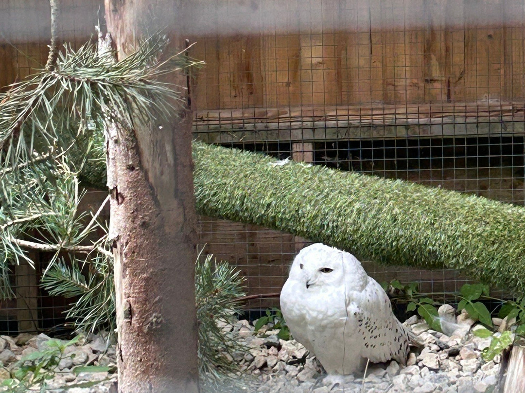 Hogshaw Farm & Wildlife Park-Hogshaw必去景点