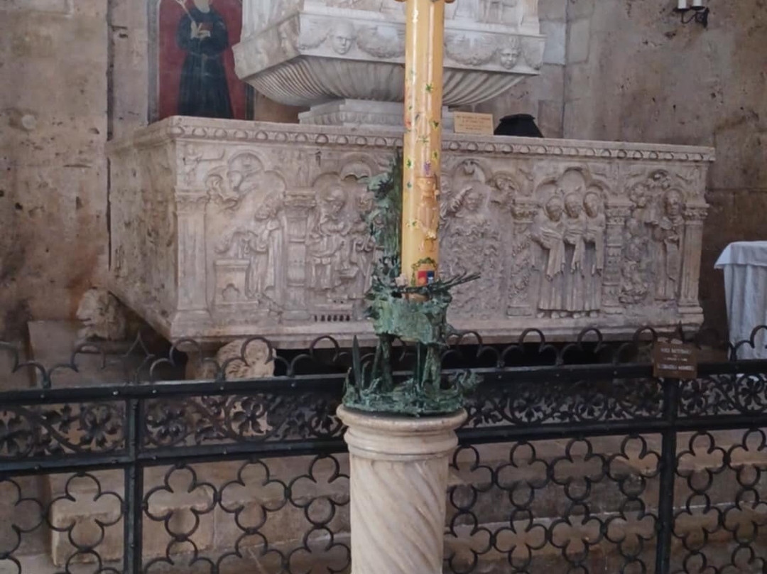 Cattedrale di San Cerbone-马萨马里蒂马必去景点