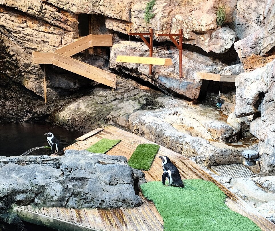 Planet Ocean Montpellier-蒙彼利埃必去景点