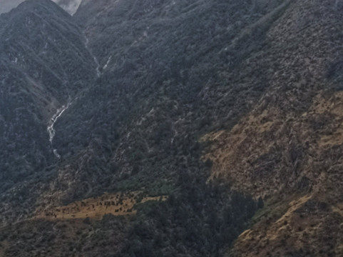 Jain Group Lachung Eyes主图