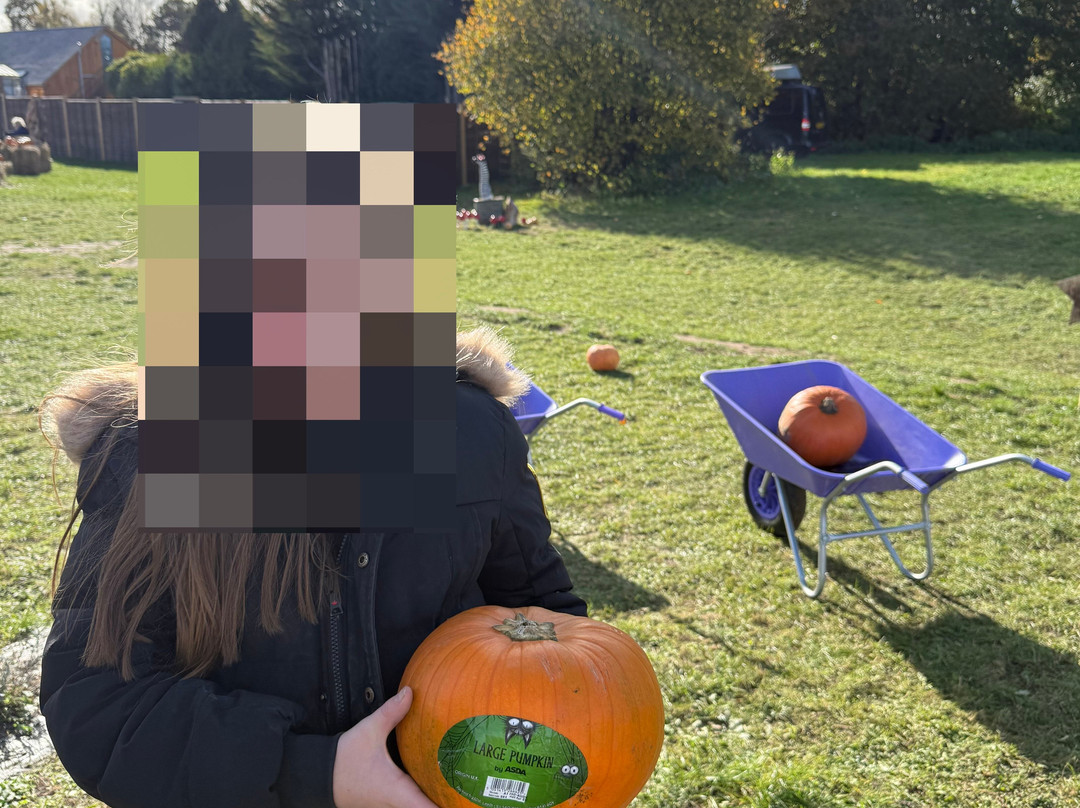 Mayfield Lavender Farm-Banstead必去景点