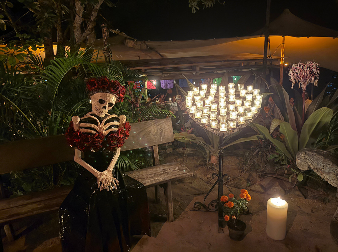 Rhythms of the Night by Vallarta Adventures-瓦拉塔港必去景点