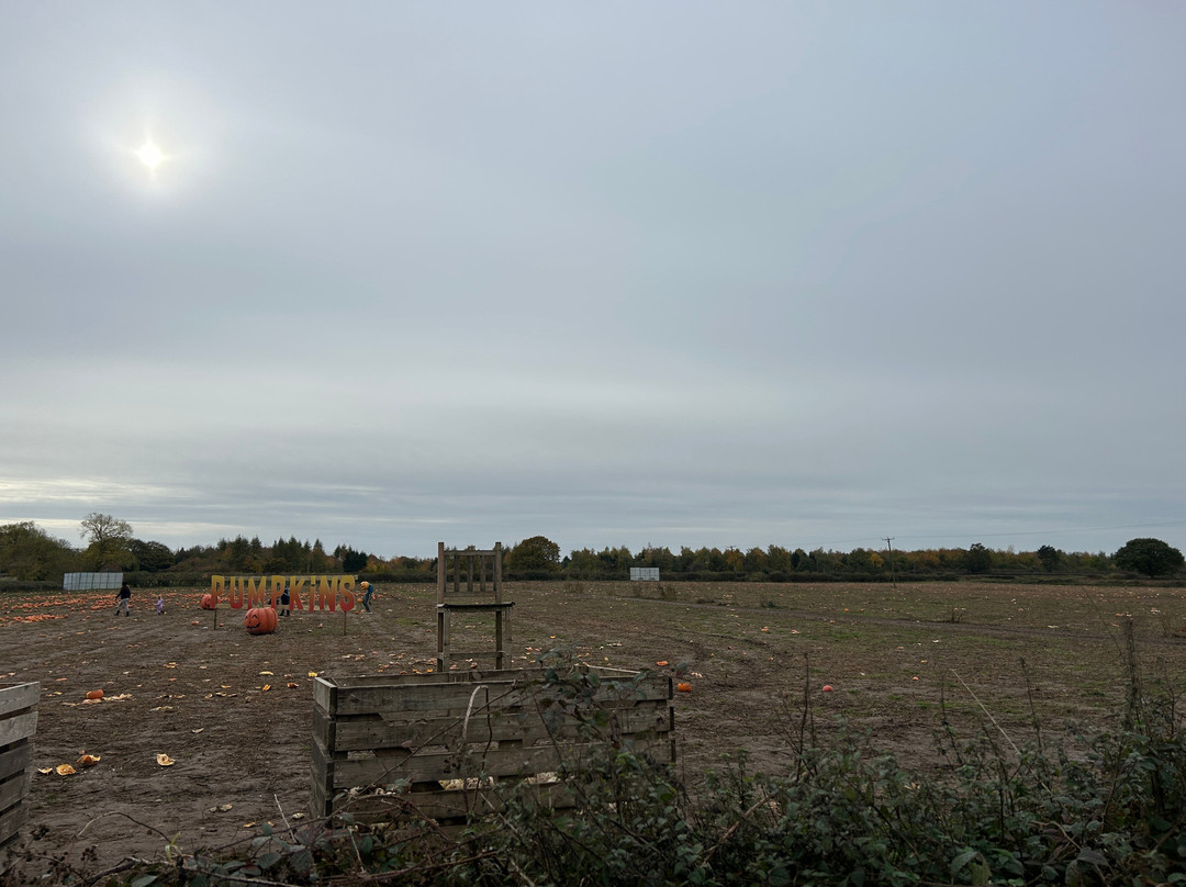 Halloween Farm-Heather必去景点