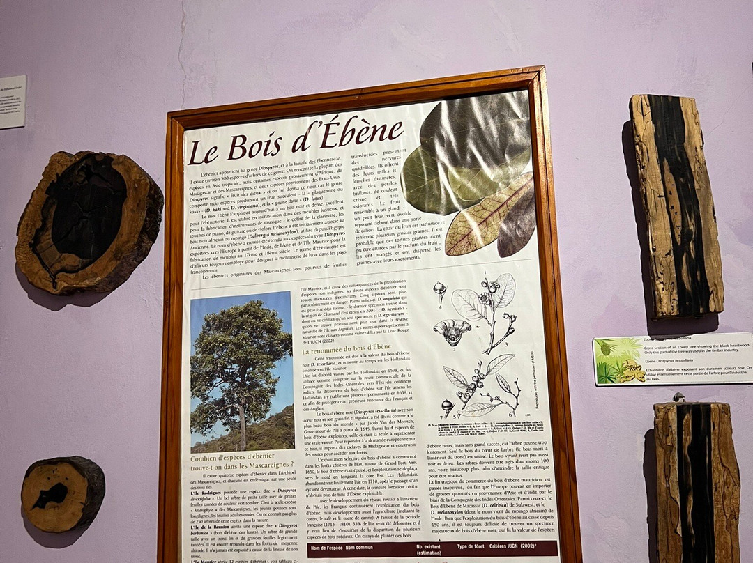 Francois Leguat Reserve-罗德里格斯岛必去景点