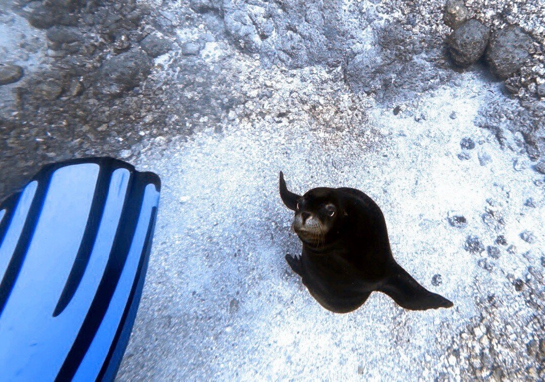 Dive in la Paz-拉巴斯必去景点