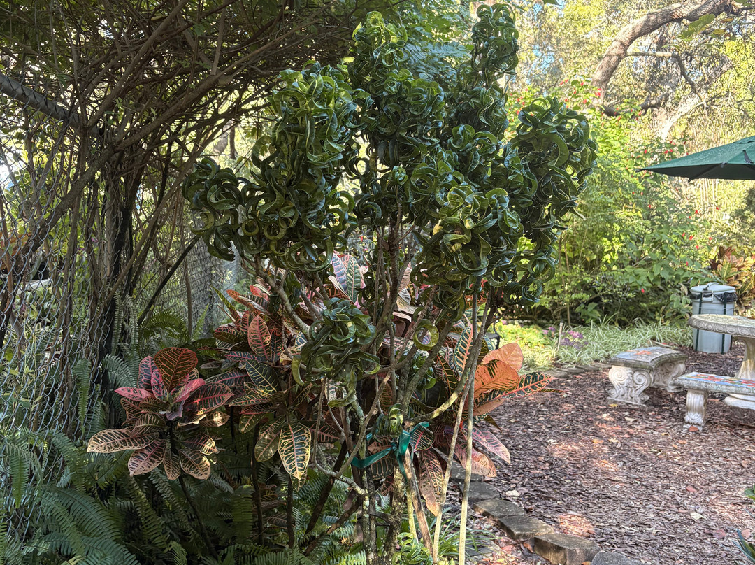 Nature Coast Botanical Gardens & Nursery-Spring Hill必去景点