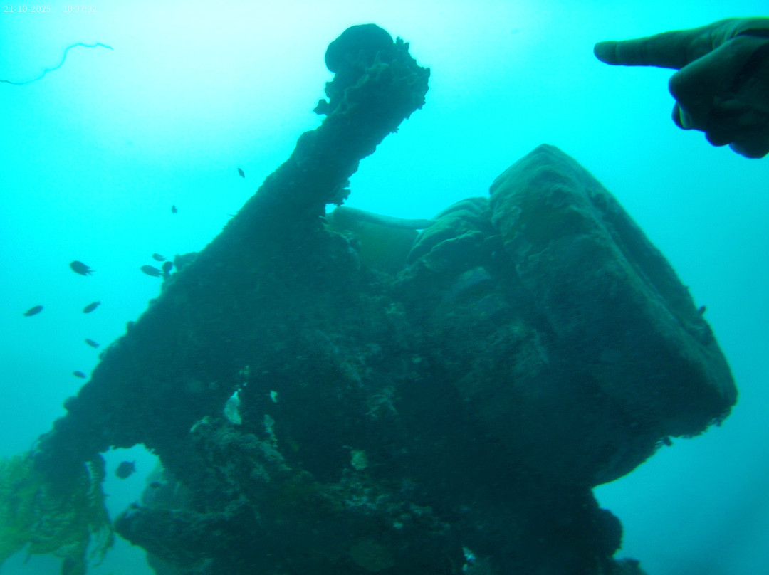 Pacific Dive-卢甘维尔必去景点