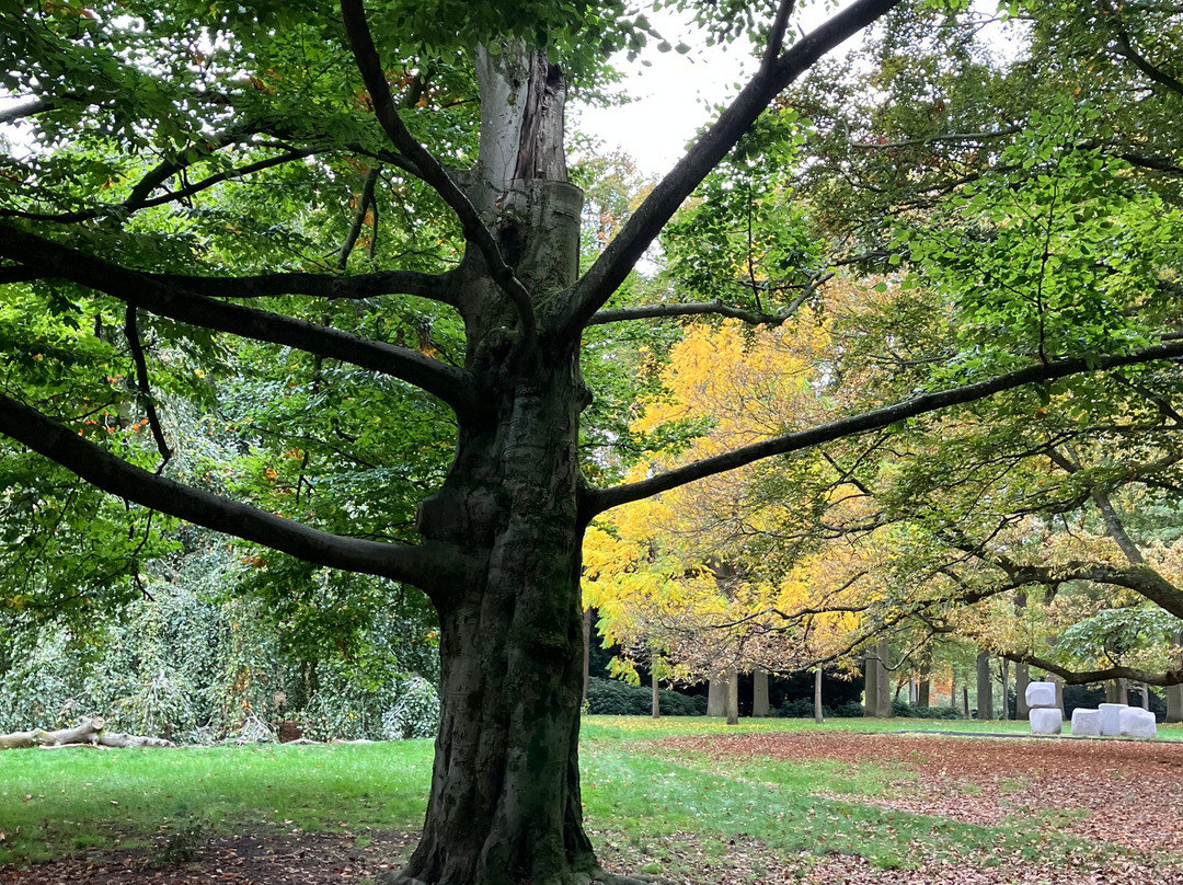Stadswandelpark-埃因霍温必去景点