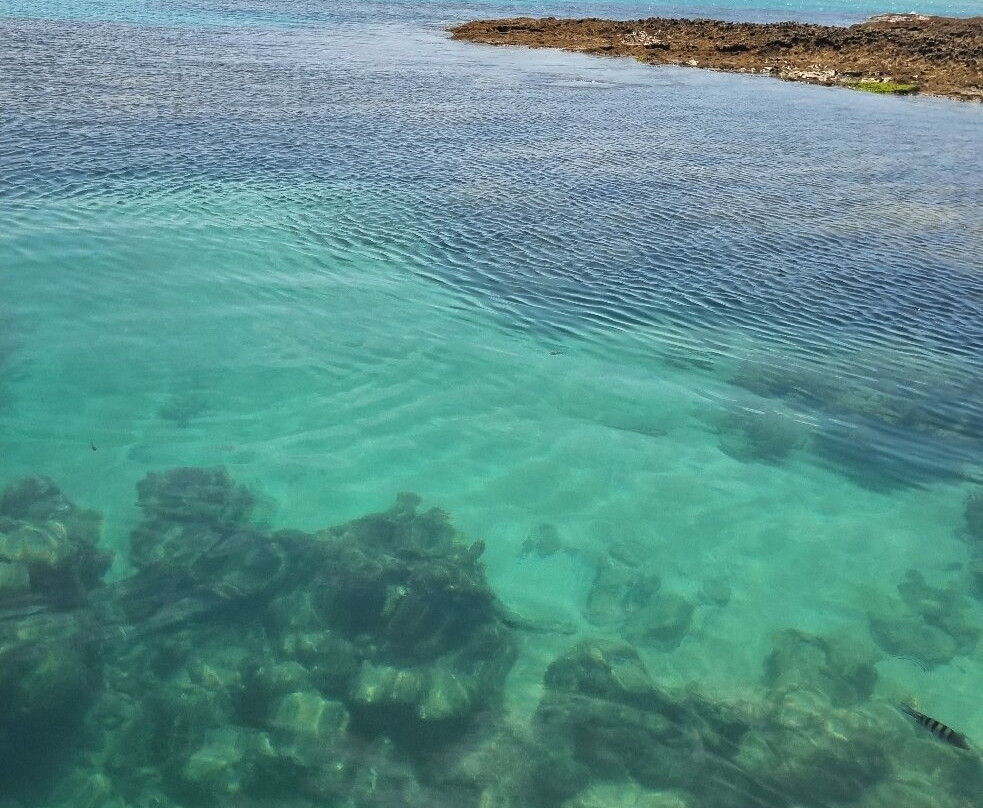 Piscinas Naturais da Praia do Patacho-Porto de Pedras必去景点