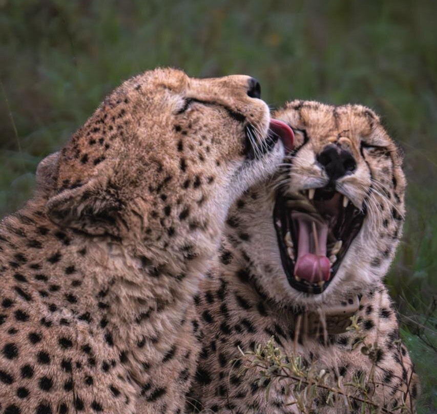 Unpaved Africa by SL