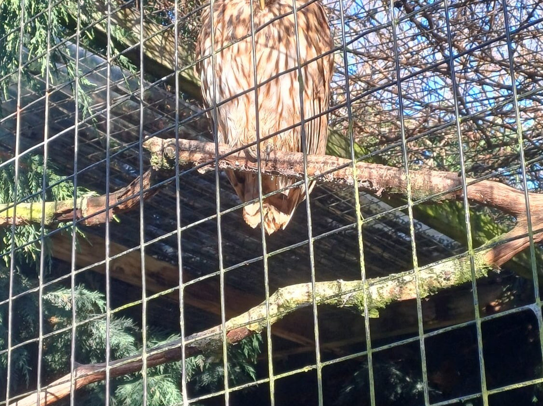 Scottish Owl Centre-Whitburn必去景点