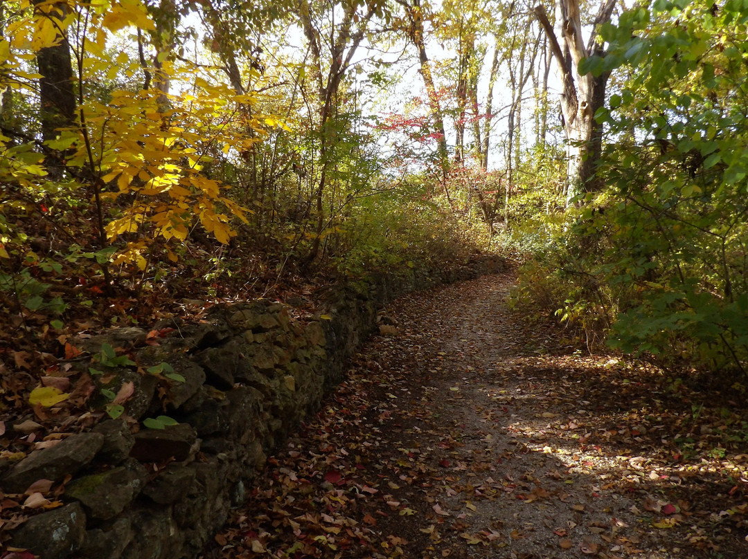 Schermerhorn Park-Galena必去景点