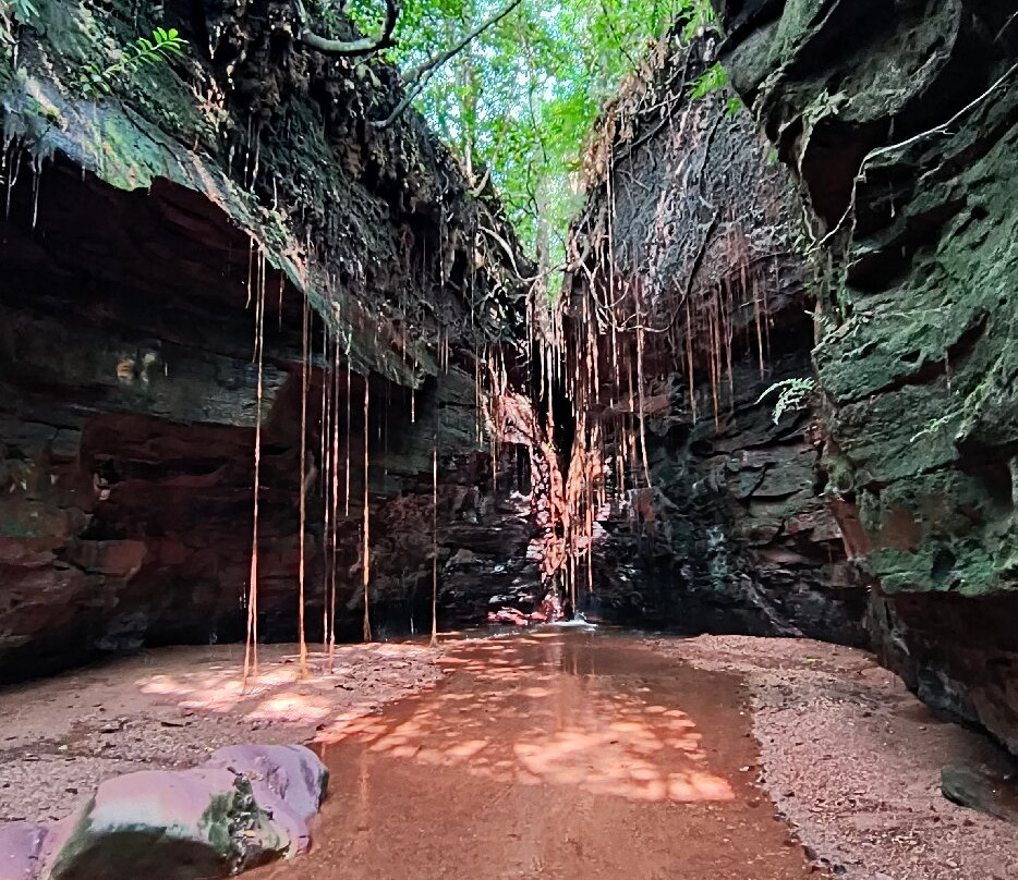 Cerrado Rupestre-Palmas必去景点