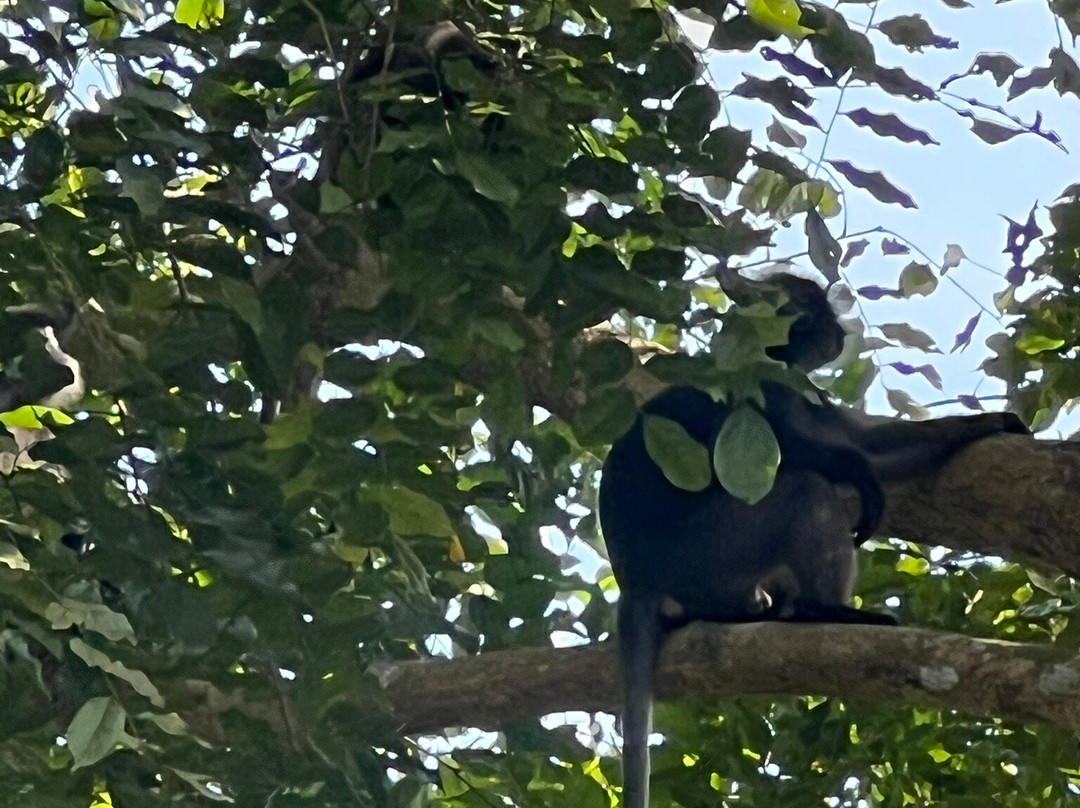 莫莱克别墅酒店主图