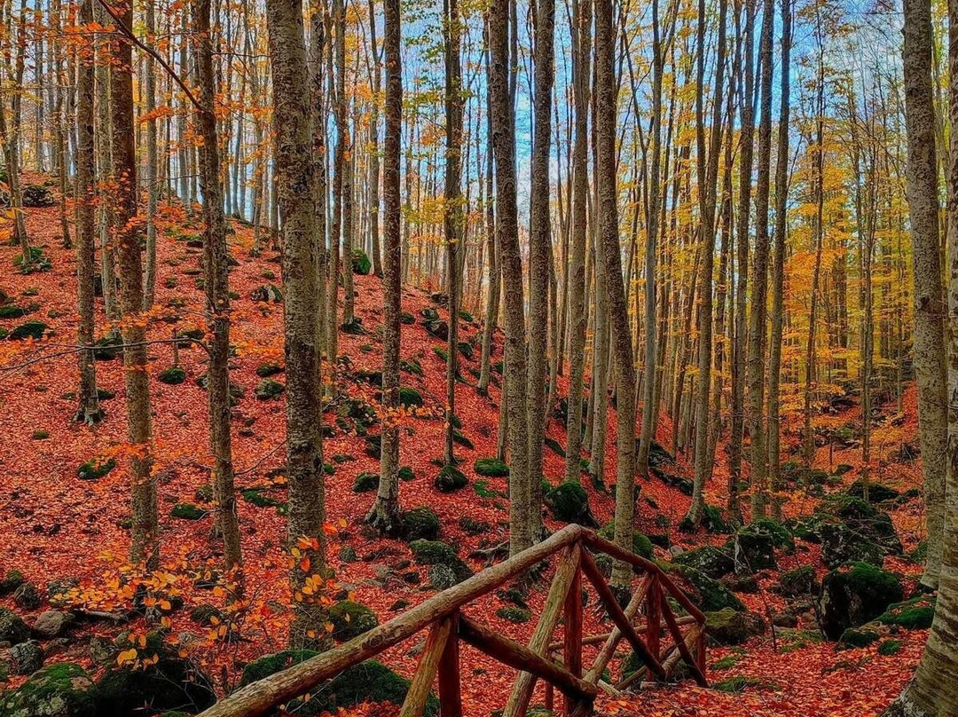 Monte Amiata-托斯卡纳必去景点