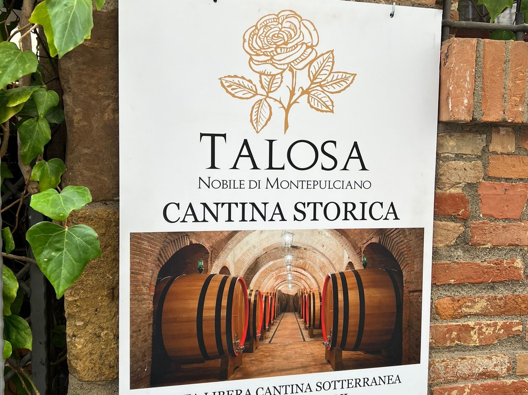 Montalcino Wine Tours-蒙塔尔奇诺必去景点