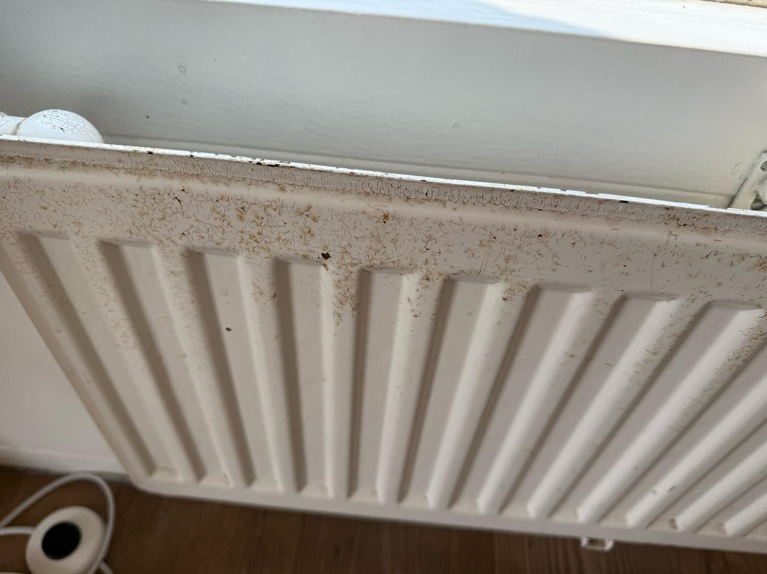 Landal Sluftervallei主图