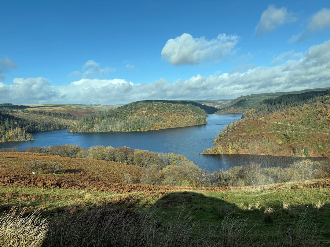 The New White Lion主图