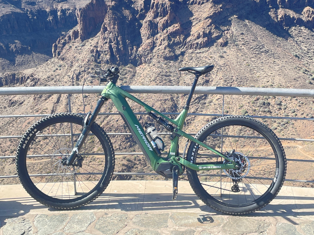 Life On 2 Wheels Bike Center-马斯帕洛马斯必去景点